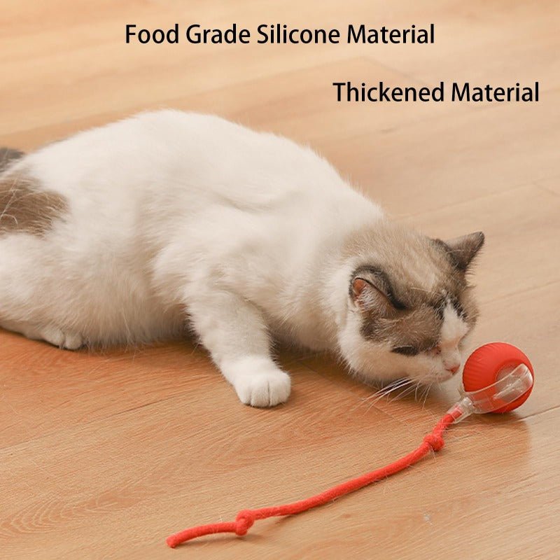 PawPlay Smart Ball – De slimme interactieve speelbal voor honden en katten.