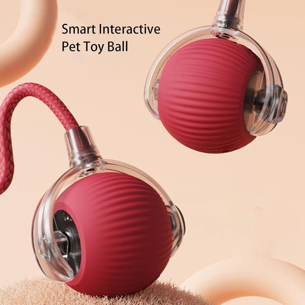 PawPlay Smart Ball – De slimme interactieve speelbal voor honden en katten.