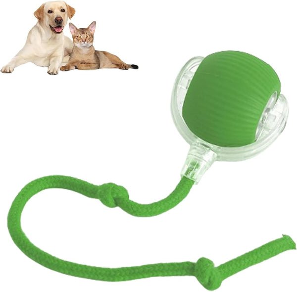 PawPlay Smart Ball – De slimme interactieve speelbal voor honden en katten.