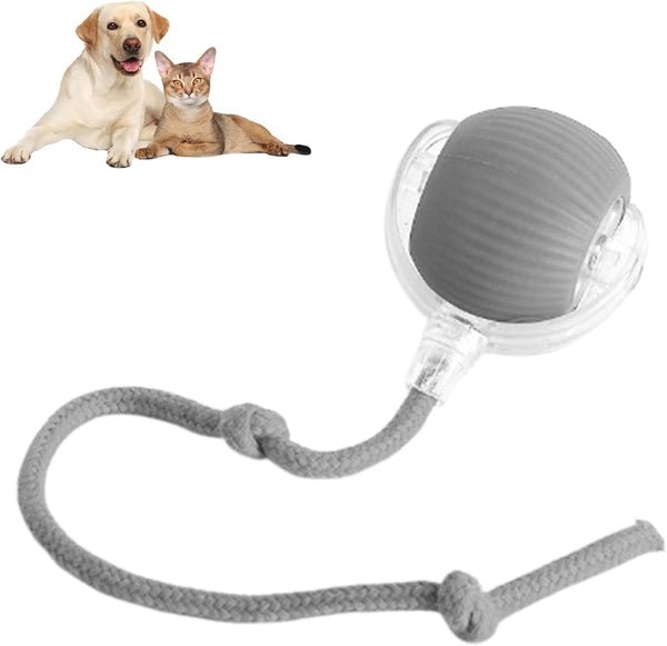 PawPlay Smart Ball – De slimme interactieve speelbal voor honden en katten.