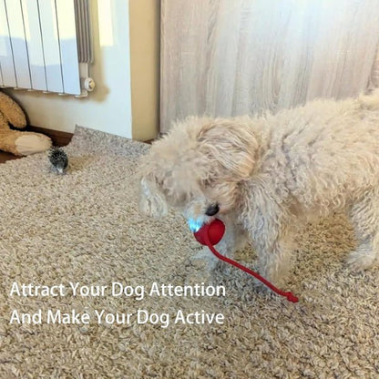 PawPlay Smart Ball – De slimme interactieve speelbal voor honden en katten.